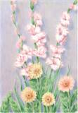 Gladioli